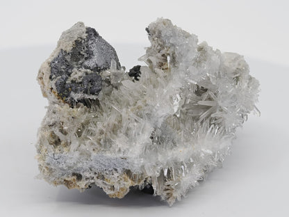 Full display view of the rare Burmese sulfide specimen, ideal for collector reference.