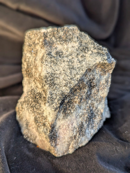TThe raw, rough-cut mineral specimen of Scapolite (trade name Trevorite) under natural daylight. It is predominantly pale grayish-white with a dense, opaque granular crystalline structure and numerous dark black mafic inclusions from Bancroft Ontario.