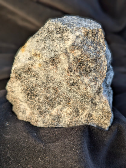 The back or alternate face of the raw Scapolite (Wernerite) specimen under natural daylight. This angle emphasizes the dense, massive structure of the vein-fill mineral, composed of pale gray scapolite matrix mixed with abundant, closely packed dark granular mafic inclusions. Found near Bancroft, Ontario.