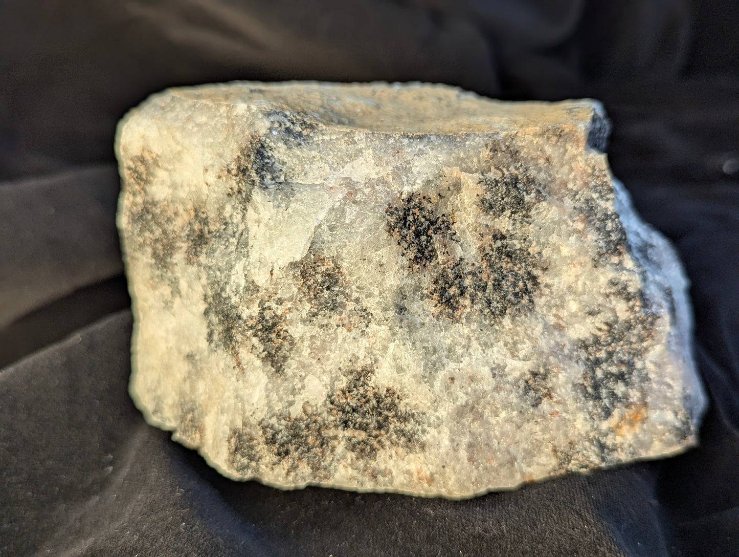A detailed view of one of the raw flat sides of the Scapolite (Wernerite) specimen in natural daylight. The image clearly shows the mineral's fine granular and speckled texture, featuring cream-colored scapolite interwoven with numerous dark black inclusions from the 2025 Bancroft, Ontario small-vein discovery.