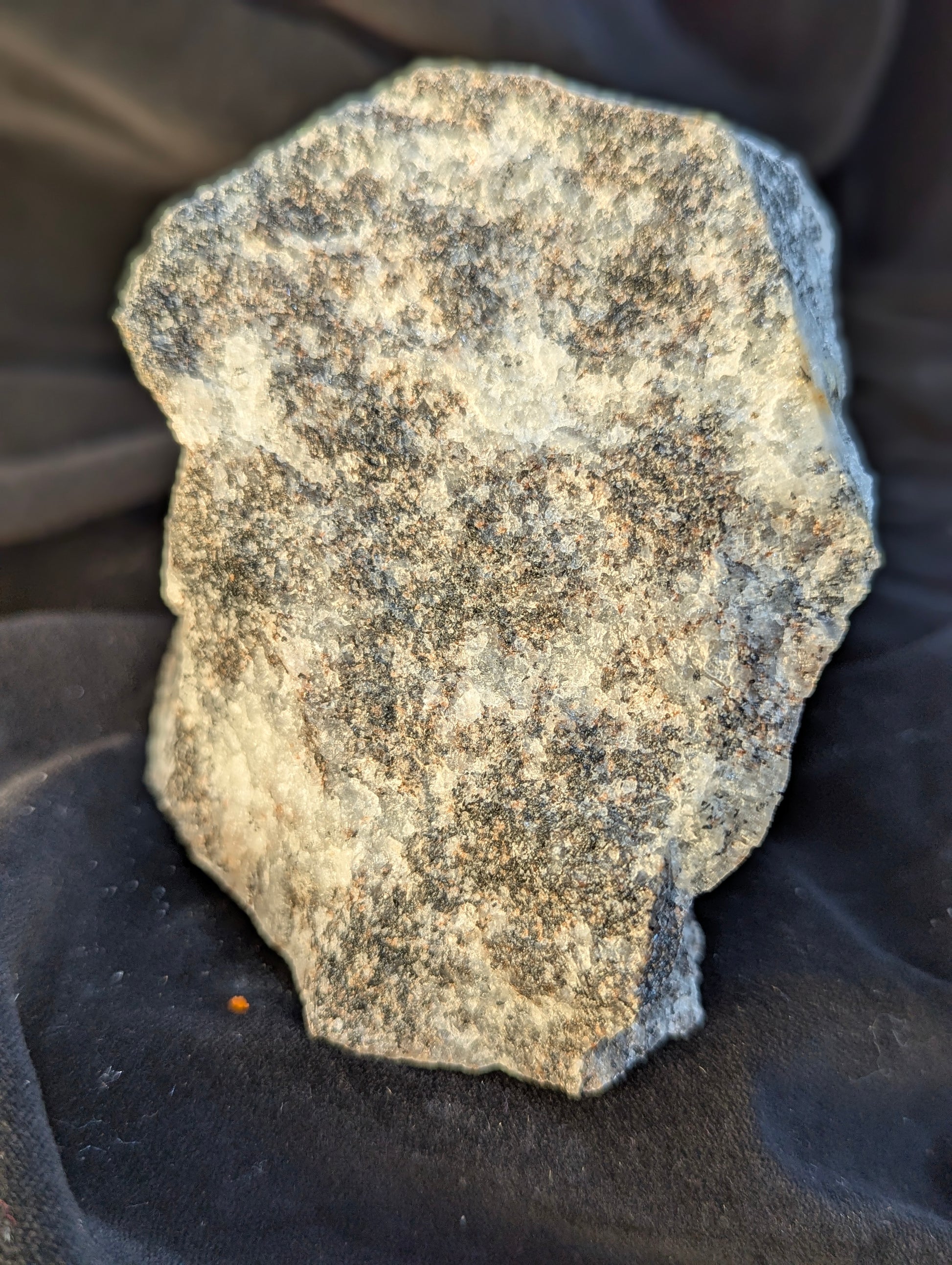 A top-down view of the raw Scapolite (Wernerite) specimen in natural daylight. The image captures the rough, granular texture of the triangular face, composed of a cream-colored scapolite matrix heavily interspersed with small dark black mineral inclusions, likely biotite or hornblende. New 2025 find near Bancroft, Ontario.