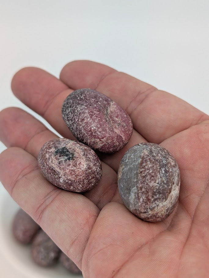Rhodonite tumbled stones shown in hand for size reference
