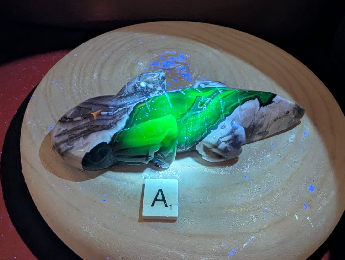 Volcano Agate Axolotl - UV Reactive ~16cm long ~365g