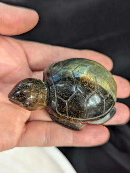 Tiger's Eye Sea Turtle Carvings
