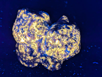 Sculptures inspirées de Pokémon en yooperlite – Figurines en cristal fluorescent UV (5,7–7 cm, 110–295 g)