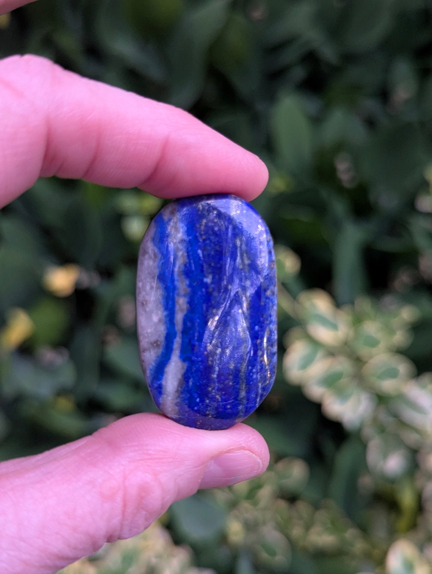 Lapis Lazuli Palm Stone | Multiple Sizes |