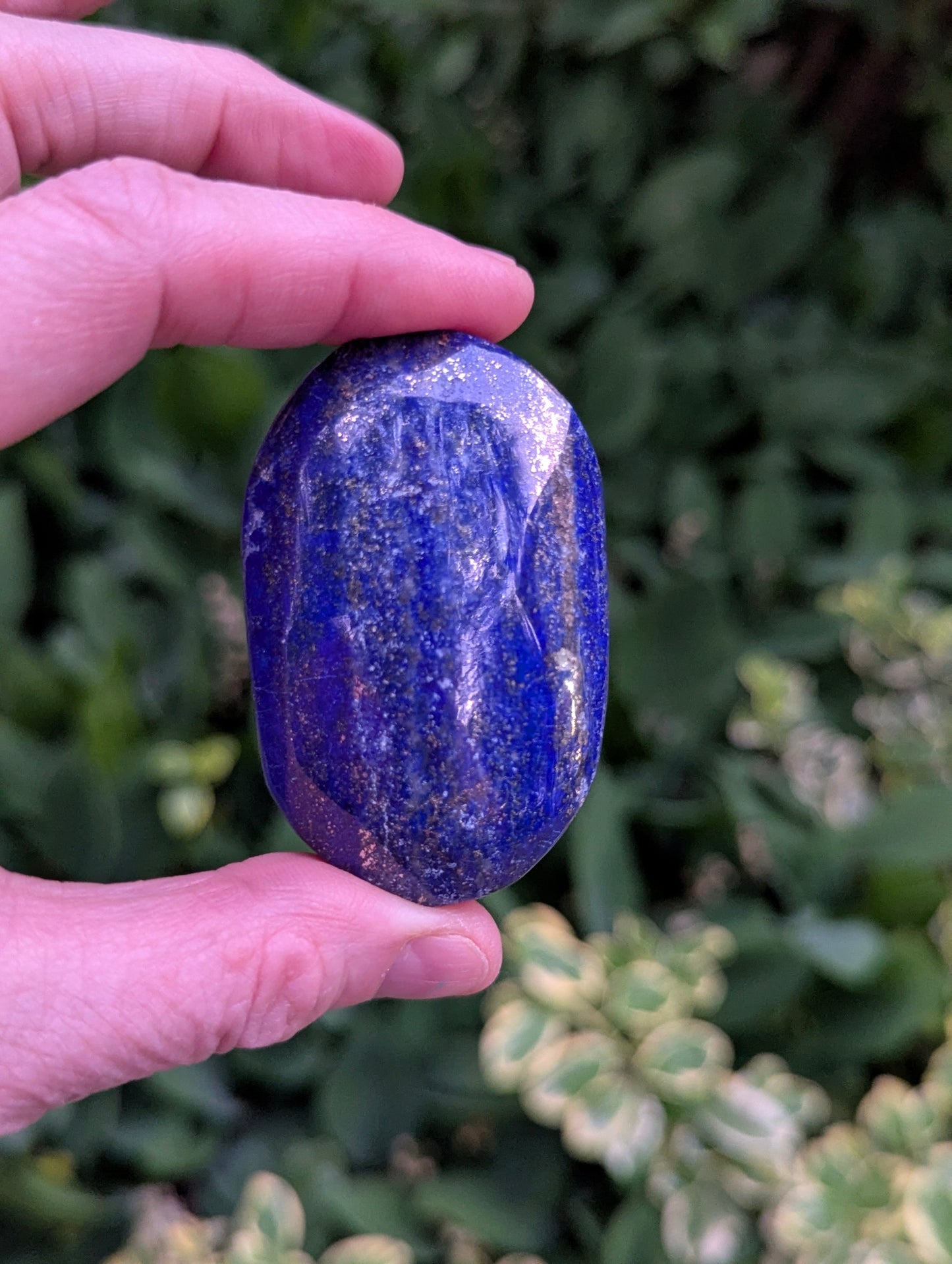 Lapis Lazuli Palm Stone | Multiple Sizes |