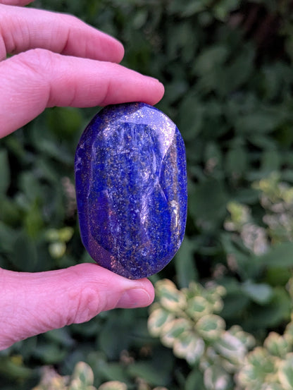 Lapis Lazuli Palm Stone | Multiple Sizes |