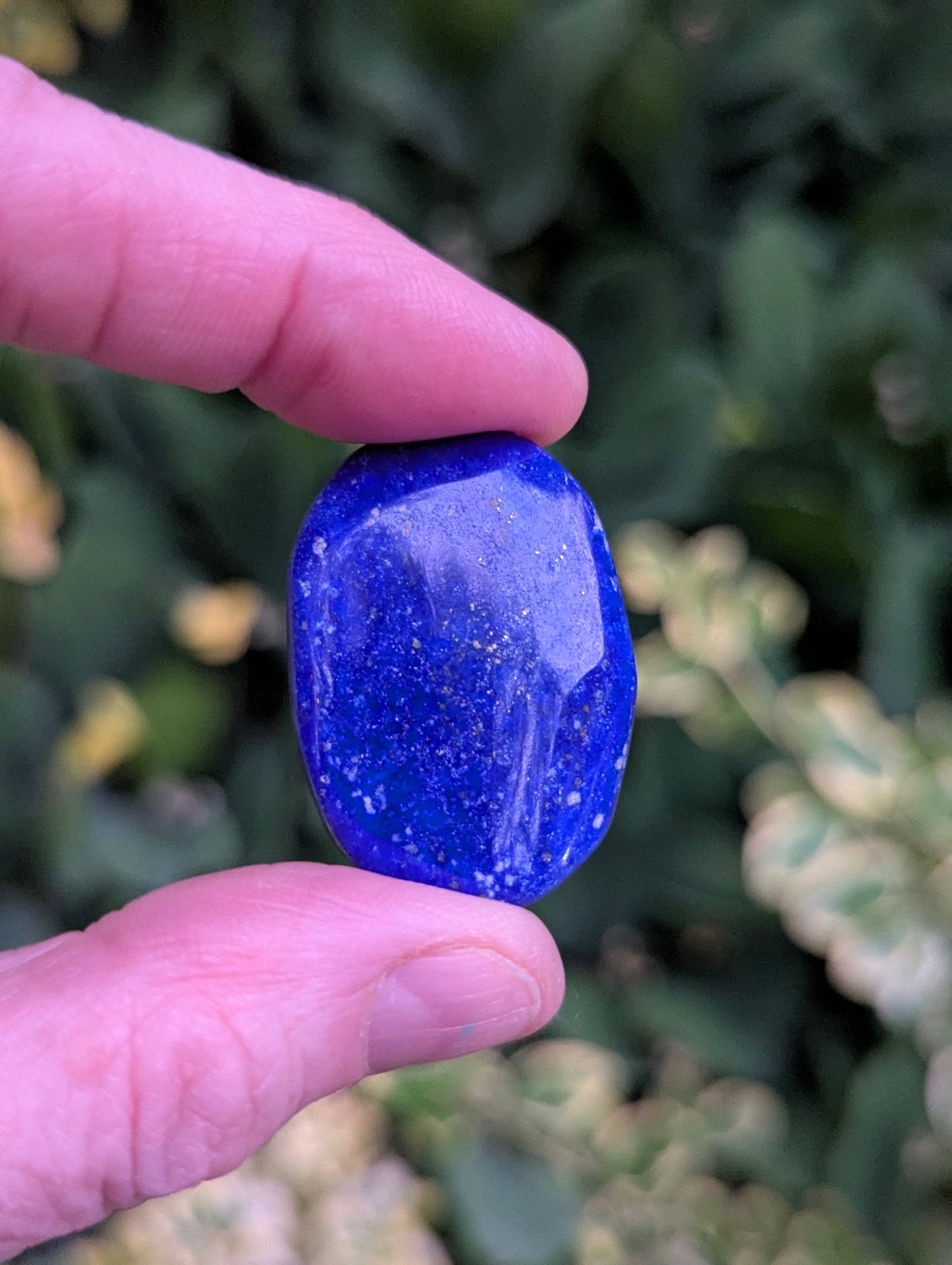 Lapis Lazuli Palm Stone | Multiple Sizes |