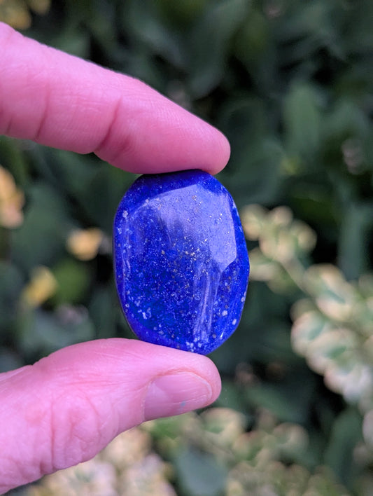 Lapis Lazuli Palm Stone | Multiple Sizes |