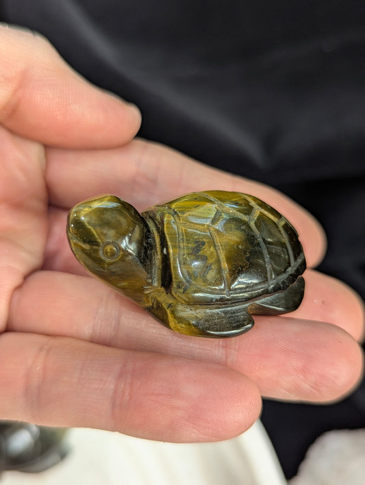 Tiger's Eye Sea Turtle Carvings