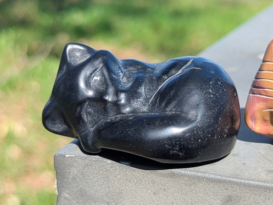 Cozy Fox Carving, Black Obsidian, Blue Aventurine and Mookaite Jasper - 105g