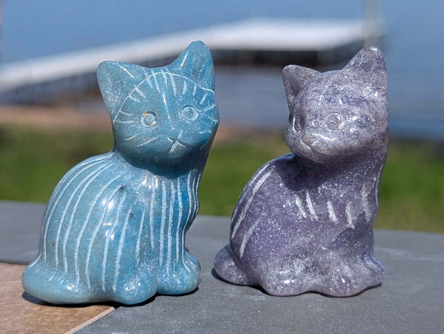 Cat Lepidolite and Blue Aventurine carving - 80g