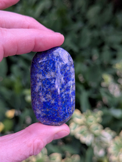 Lapis Lazuli Palm Stone | Multiple Sizes |