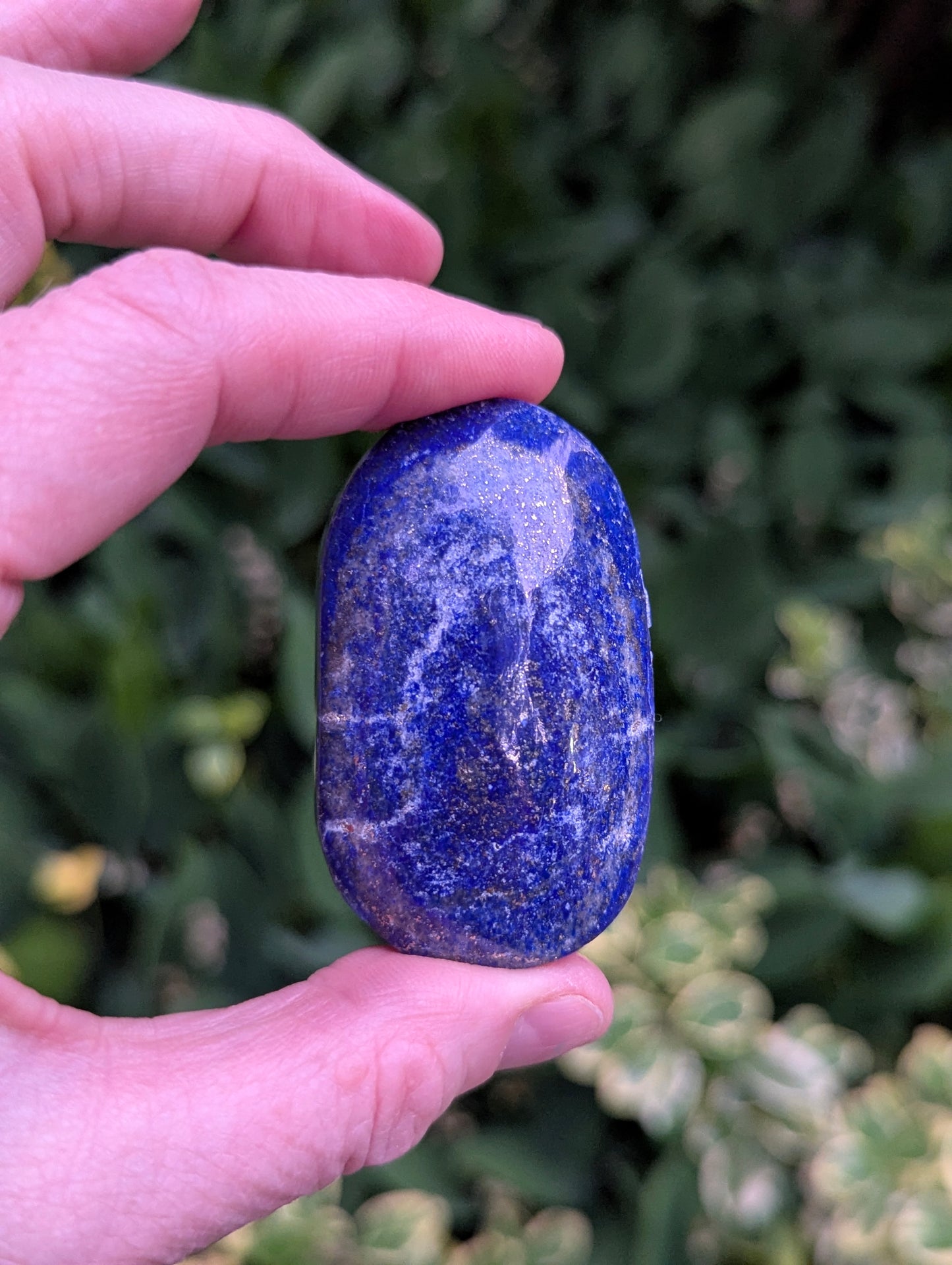 Lapis Lazuli Palm Stone | Multiple Sizes |