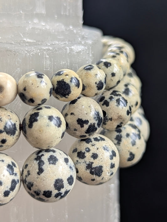 Bracelet en jaspe dalmatien — Perles rondes de 8 mm