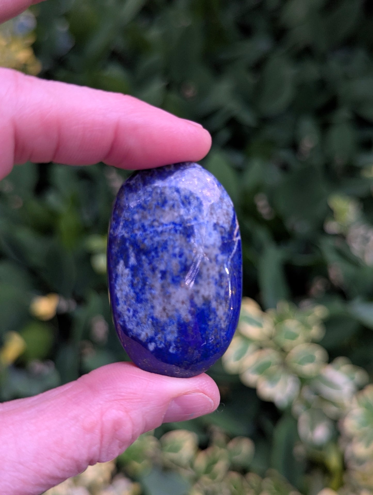 Lapis Lazuli Palm Stone | Multiple Sizes |