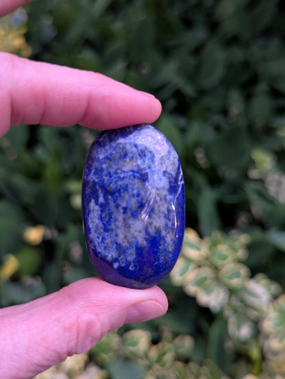 Lapis Lazuli Palm Stone | Multiple Sizes |