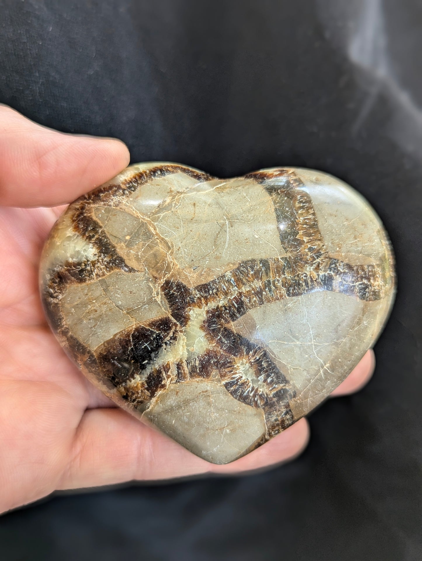 Septarian Nodule / Dragon Egg Heart