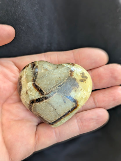 Septarian Nodule / Dragon Egg Heart