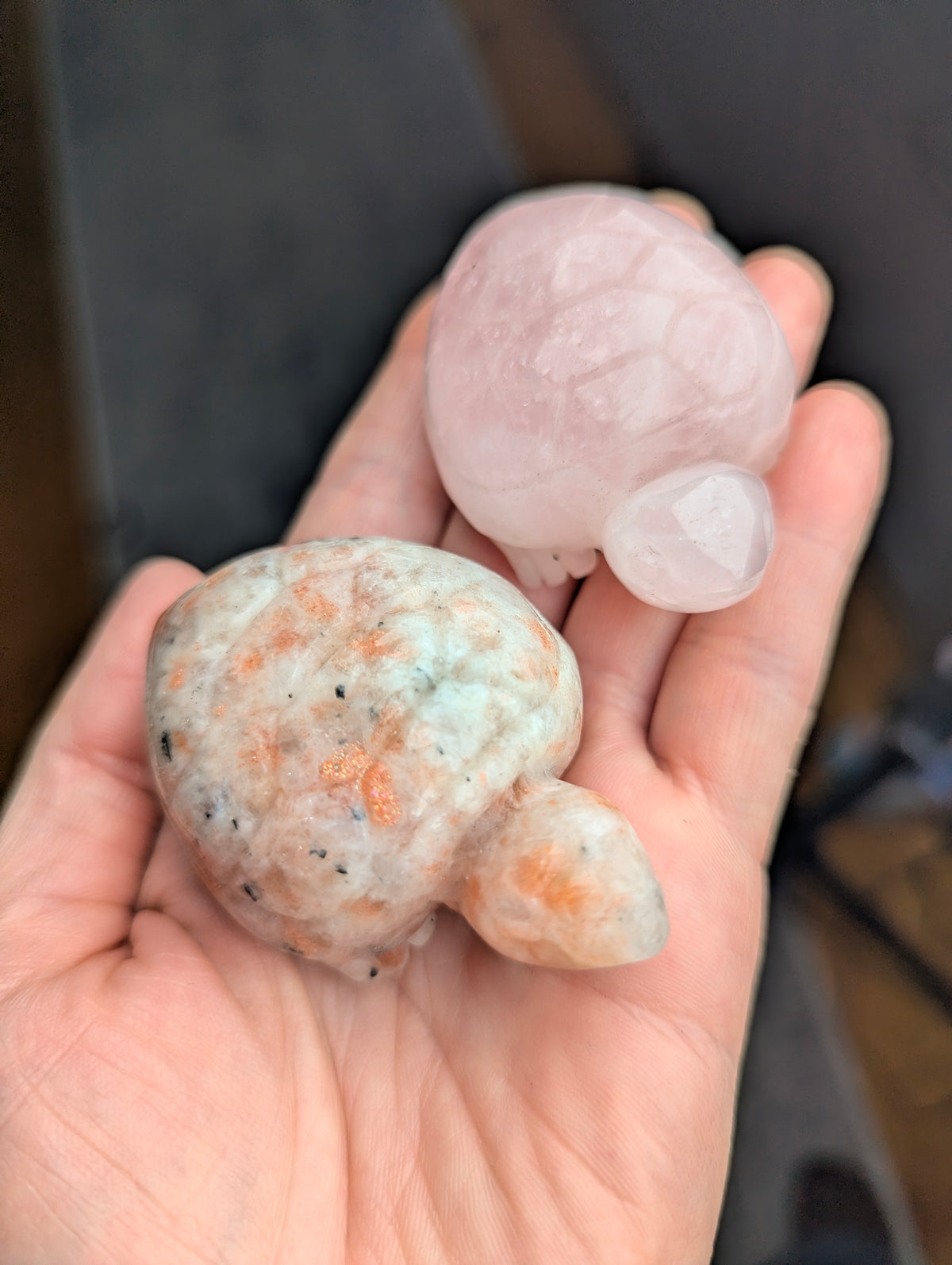 A polished 60mm Sunstone turtle carving and a 60mm Rose Quartz turtle carving held together in an open hand for scale and material comparison.