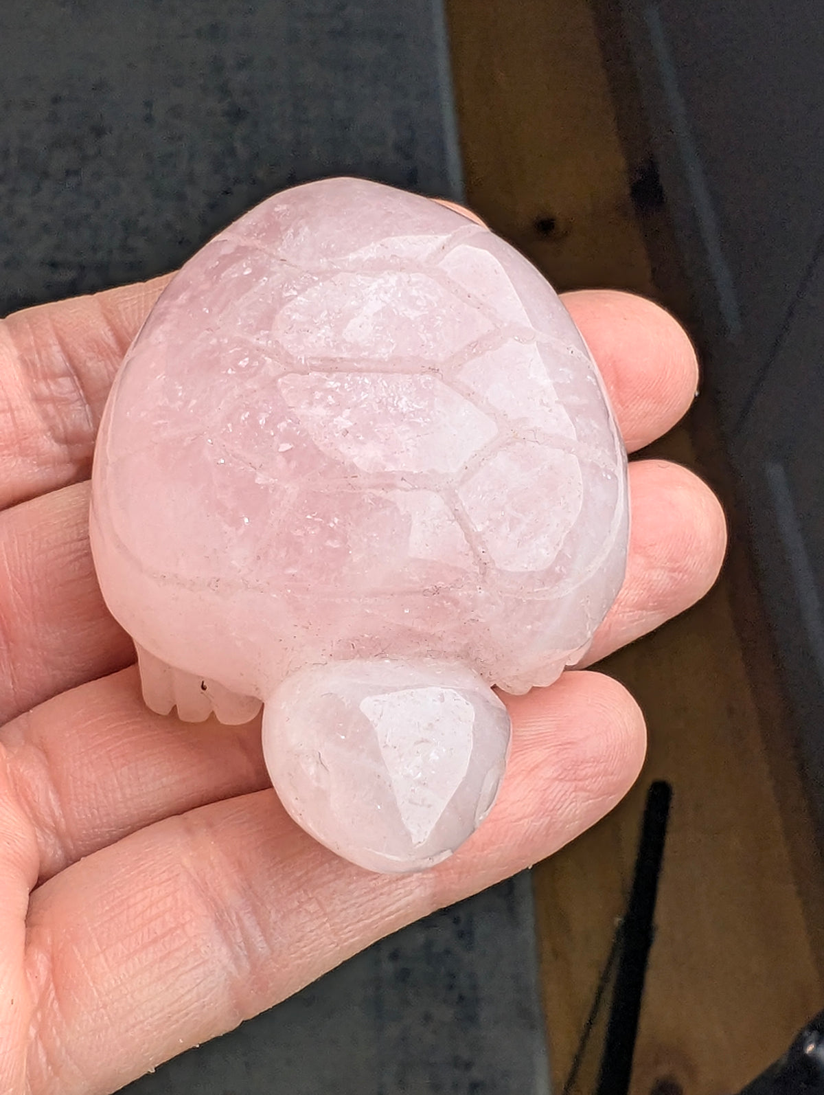 Top view of a polished 60mm Rose Quartz turtle carving held in an open hand, showing carved shell scutes.