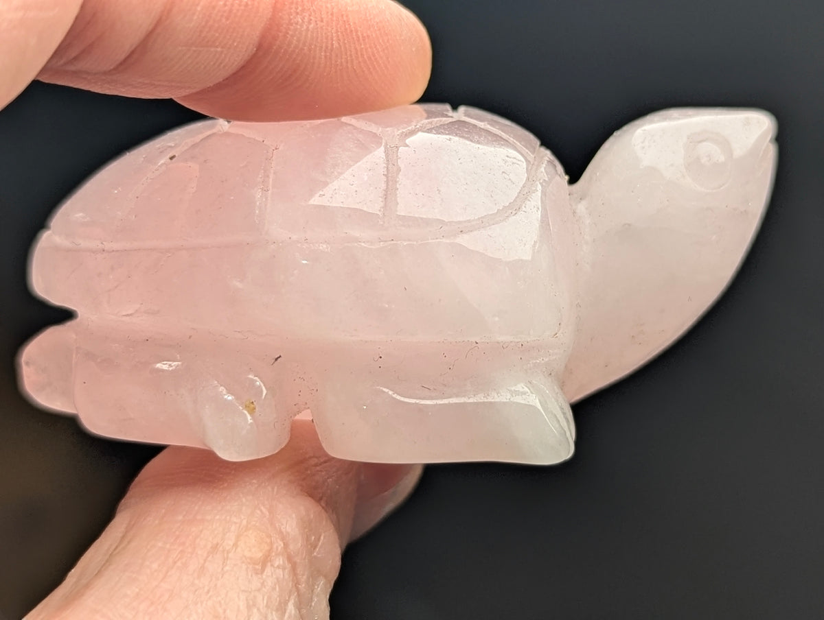 Side profile of a polished 60mm Rose Quartz turtle carving held against a dark background, showing head and leg details