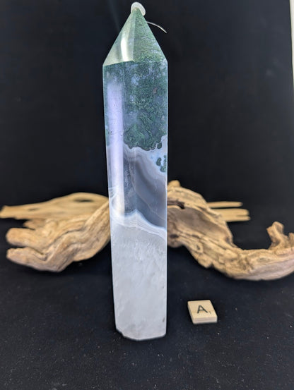 Back view of Variant A displaying consistent fortification banding.