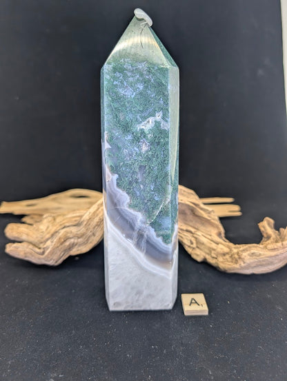 Front view of Variant A (900g/24cm) showing unique inverted landscape and forest-green moss.