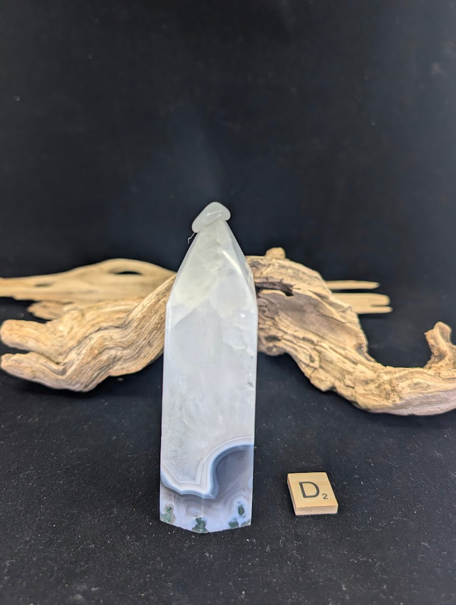 Angled view of Variant D showing dendritic tree-like structures.