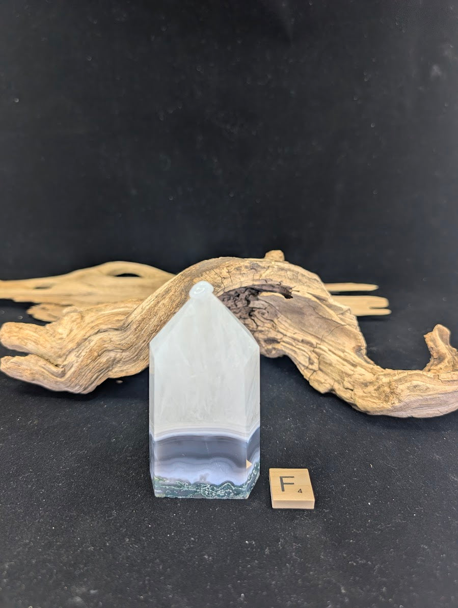 Back view of Variant F showing the organic earth-toned matrix.