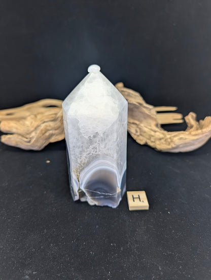 Back view of Variant H showing dense, lush mossy inclusions.