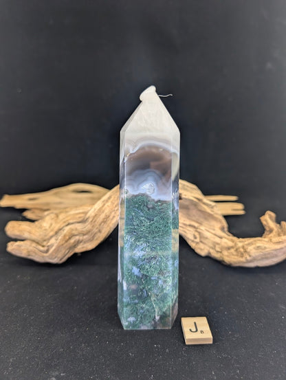 Front view of Variant J (420g/16cm) with fine fortification banding.