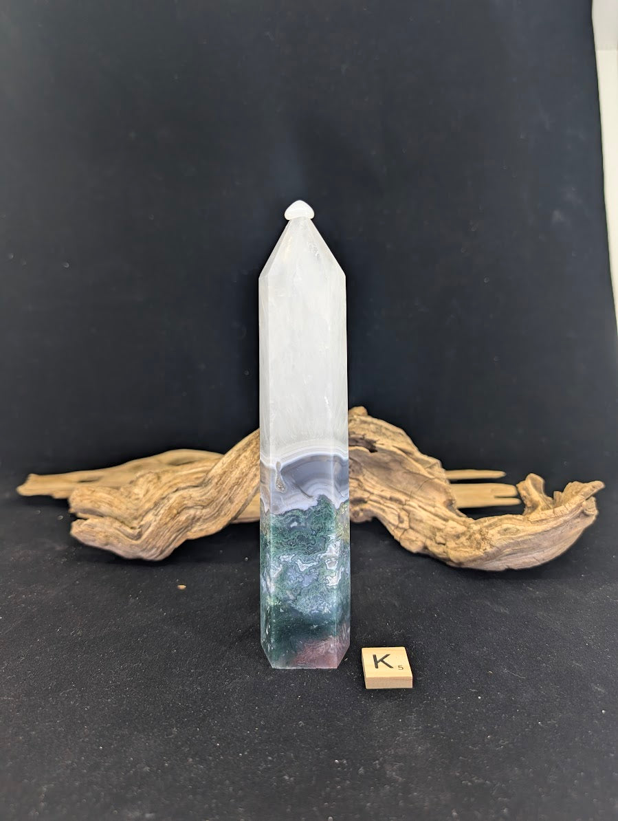 Front view of Variant K (425g/18cm) with feathery green moss.