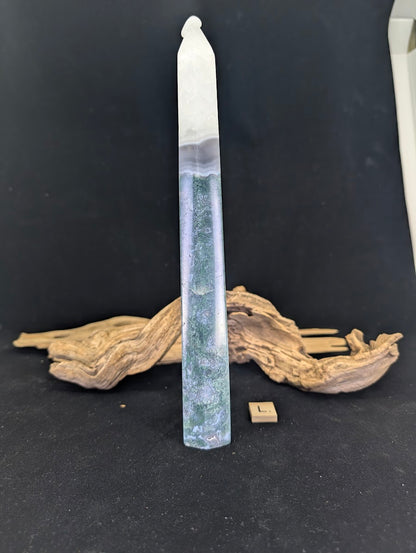 Side angle of Variant L showcasing the 5.5cm broad stature.