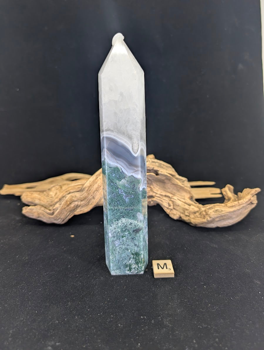 Back view of Variant M showing high-contrast mossy plumes.