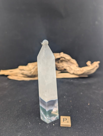 Front view of Variant P (315g/15cm) with a clean landscape transition.