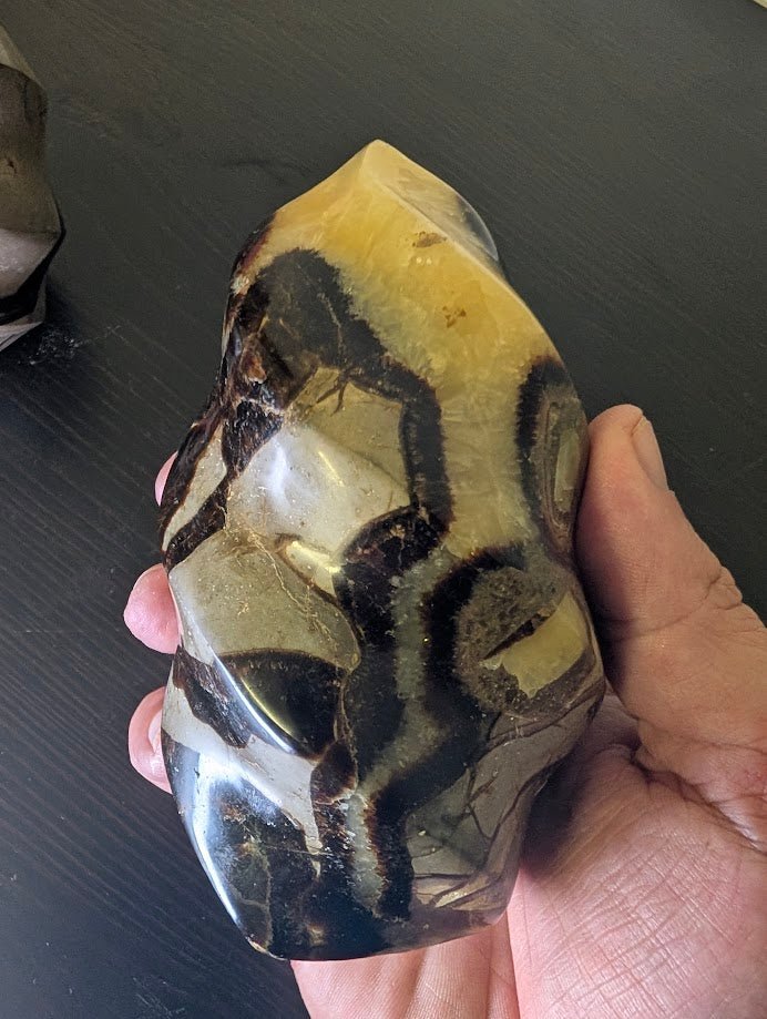 Septarian "Dragon Stone" Nodule Flame Carving – Madagascar - Legacy Crystals and Minerals