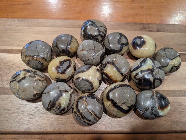 Septarian "Dragon Stone" Palm Stones – Madagascar - Legacy Crystals and Minerals