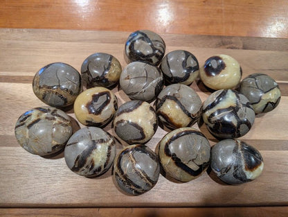 Septarian "Dragon Stone" Palm Stones – Madagascar - Legacy Crystals and Minerals