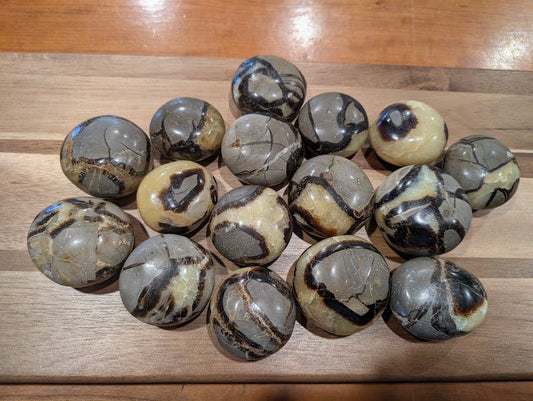 Septarian "Dragon Stone" Palm Stones – Madagascar - Legacy Crystals and Minerals