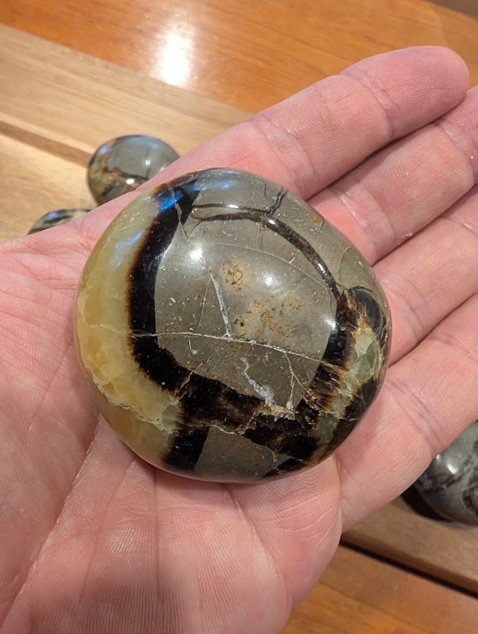 Septarian "Dragon Stone" Palm Stones – Madagascar - Legacy Crystals and Minerals