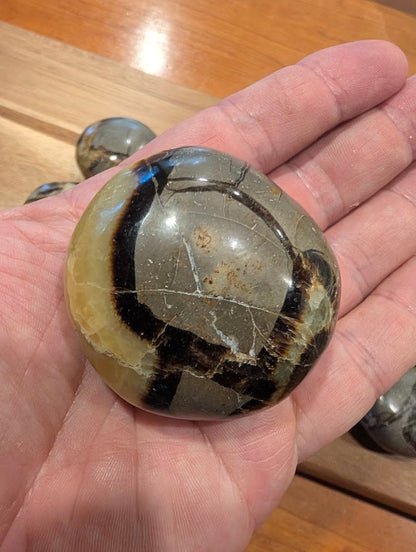 Septarian "Dragon Stone" Palm Stones – Madagascar - Legacy Crystals and Minerals