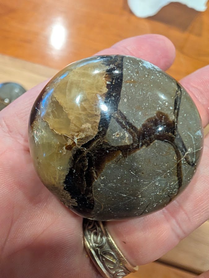 Septarian "Dragon Stone" Palm Stones – Madagascar - Legacy Crystals and Minerals