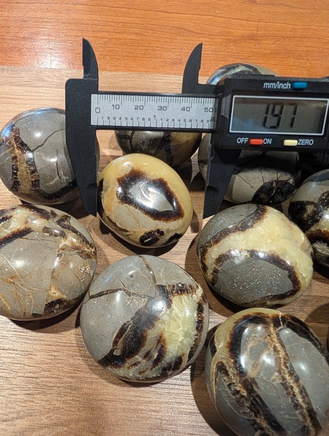 Septarian "Dragon Stone" Palm Stones – Madagascar - Legacy Crystals and Minerals