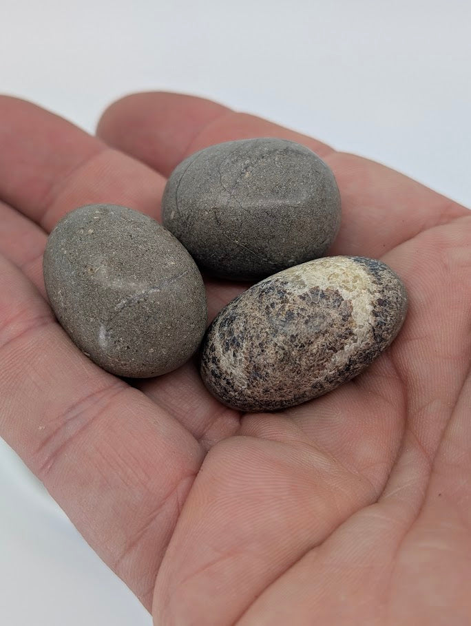 Septarian tumbled stones shown in hand for scale