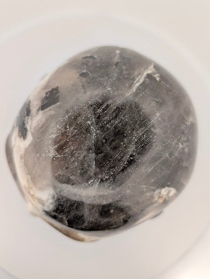 Top view showing lamellar structure and polish transitions