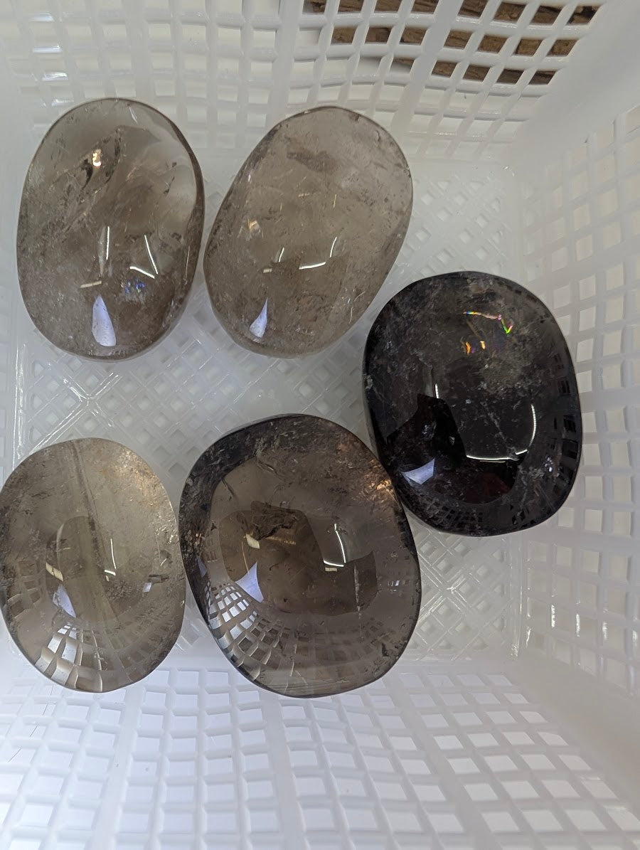 Five AA-grade Lwena Smokey Citrine palm stones displayed showing light refraction and clarity.