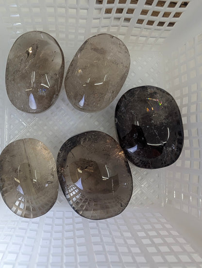 Five AA-grade Lwena Smokey Citrine palm stones displayed showing light refraction and clarity.
