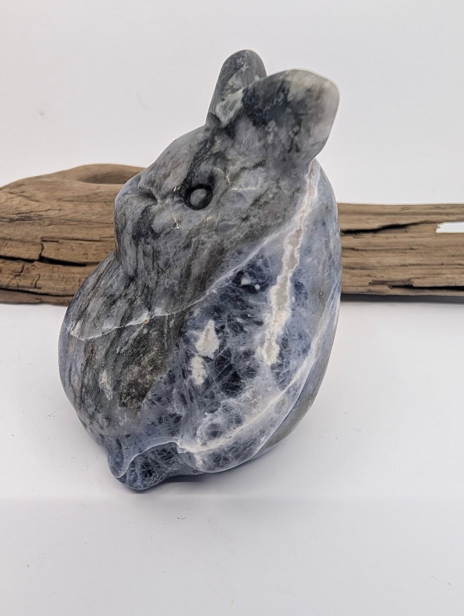 Side profile of a Sodalite Totoro showing natural white structural veining in the stone.